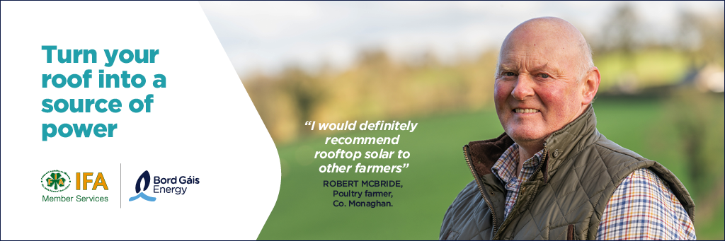 IFA-Solar-Headers-Robert McBride